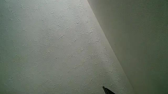 Zoelucas — show anal 7 minute